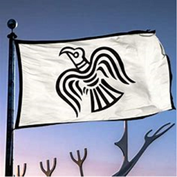 Game of vikings lasr GOTswsew logo