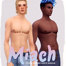 MIACH logo