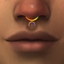 Rainbow Septum logo