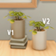 Book Nook Plants (2 Versions) logo