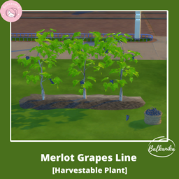 Merlot Vineline logo