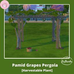 Pamid Pergola