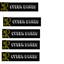 Cyber Danes  logo