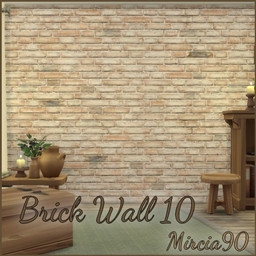 Brick Wall #10