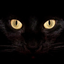 JPP (Java's Private Pack) logo