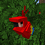Chak's Chubby Mobs logo
