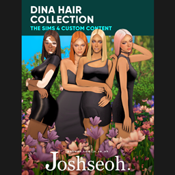 Dina Hair Collection
