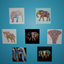 Elephant Paintings logo