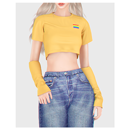 Kimmy Crop Top and Sleeves
