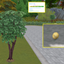 Walnut (Harvestable) logo
