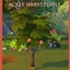 Harvestable Ackee logo