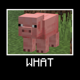 WHAT (Spyglass meme) project image