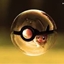 skelly's catching adventure  logo