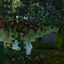 Simply Dinosaurs logo
