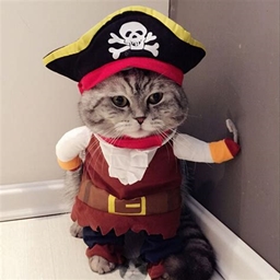 The Pirate Adventures logo