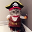 The Pirate Adventures logo