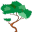 The Juniper Starter Pack logo