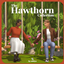 oakiyo - Hawthorn Collection logo