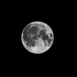 Moonlighters