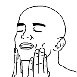 Satiscraft project image