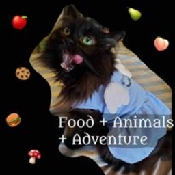 Food, Animals & Adventure logo