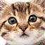 Hide Crafting Chat logo
