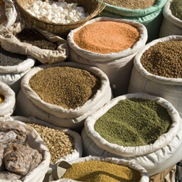 Spice Pack: Mustard and Saffron logo
