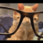 Catt's Scawy World logo