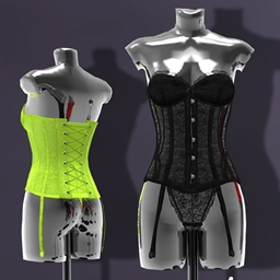 Lace Corsage Outfit SxF logo