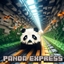 Panda Xpress logo