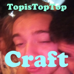 TopisTopTop Craft