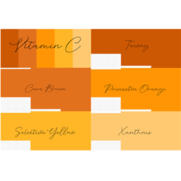 Coolors Custom Palette Wallpapers – Vitamin C