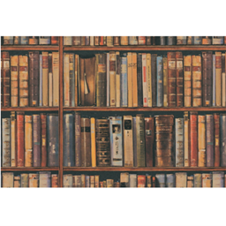 BGC Bookcase Wallpaper