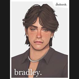 Bradley Hair logo