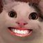 HAMICRAFT logo