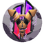 Havoc SMP logo