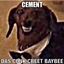PandaCraft (Create+) logo
