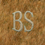 Bad Skill logo