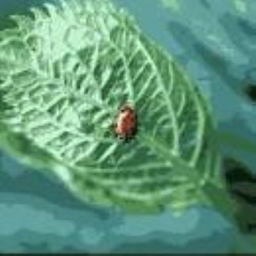 tech and dragons and floating islands project image