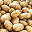 Potatous logo