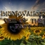 Brinkwalker: Veil of the Past logo