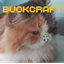 BUOKCraft logo