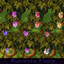 Knight wisteria _RF logo