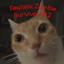 Zombie Survival But Realistic REBORN logo