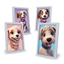 My First Pet Picture (Framed) logo