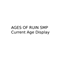 Current Age - Ages of Ruin SMP logo