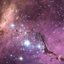 New Orizon logo