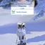 NPC Mail Carrier Career