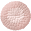 Cute Fluffy Flower Dance Rug #13 Samtuse963 logo