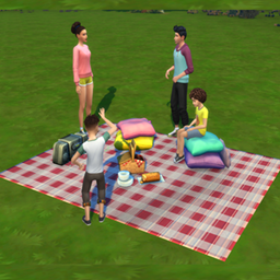 functional picnic blanket